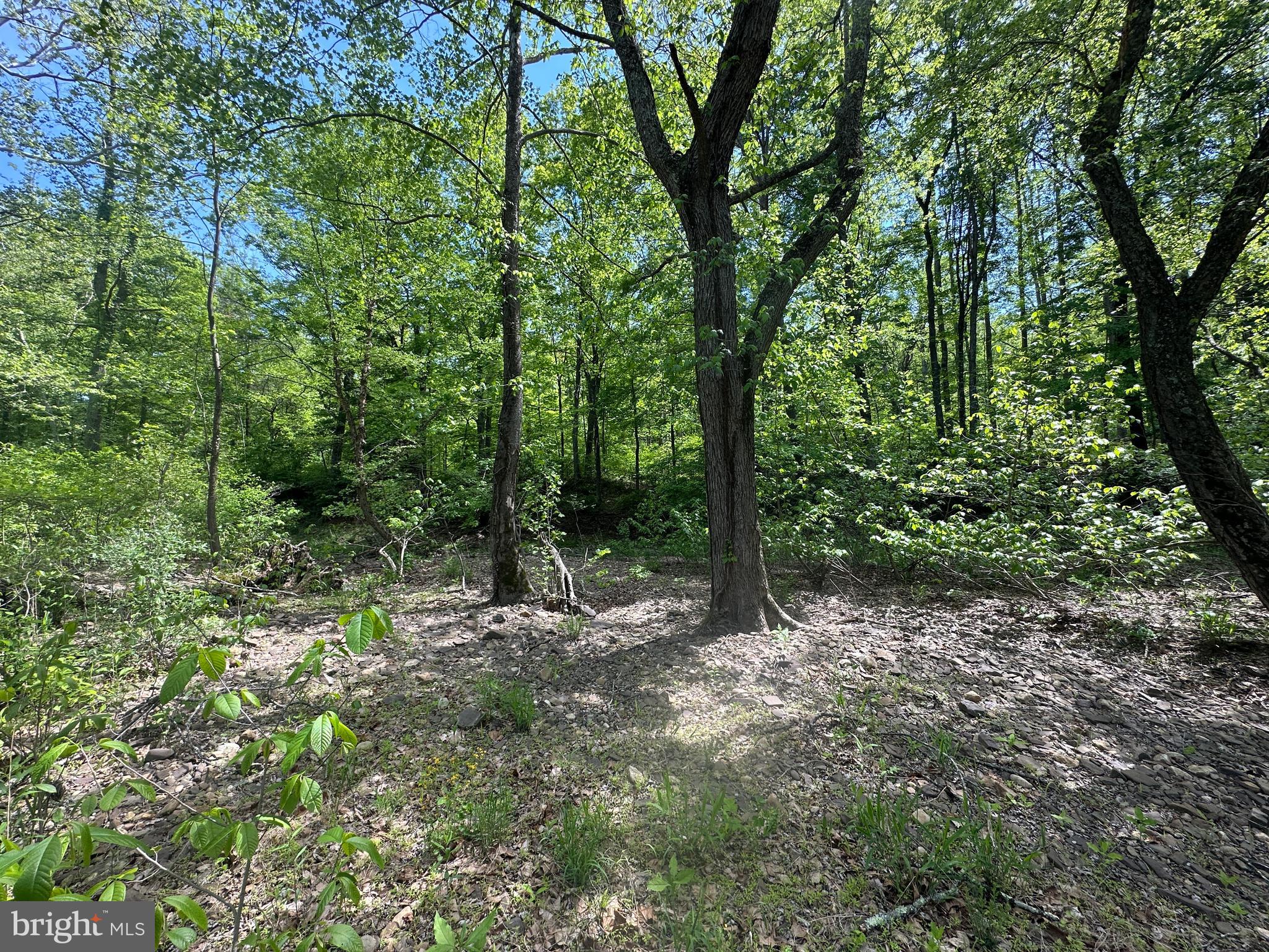 CACAPON HILLS - Land