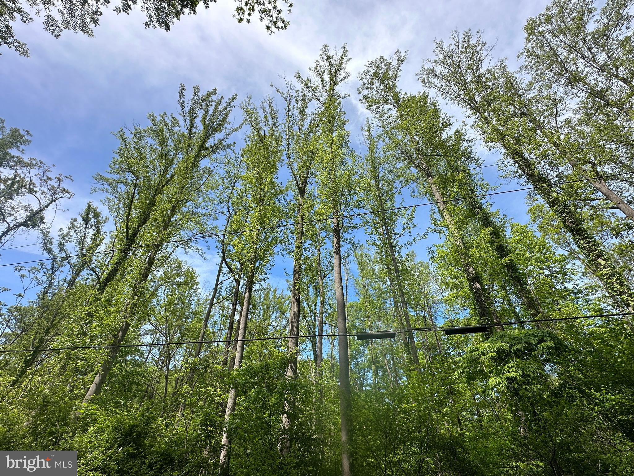 CACAPON HILLS - Land