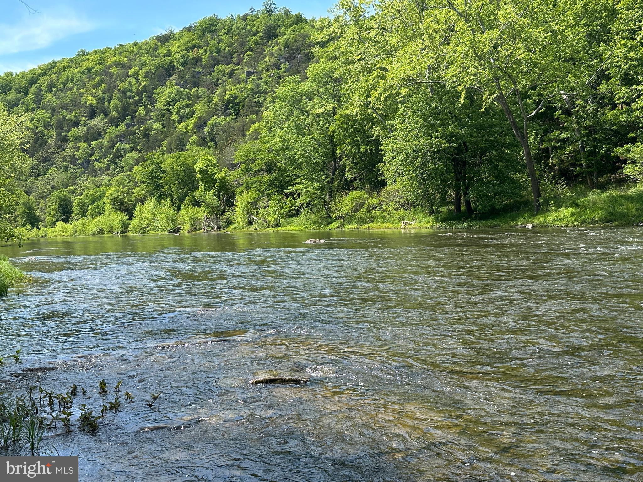 CACAPON HILLS - Land