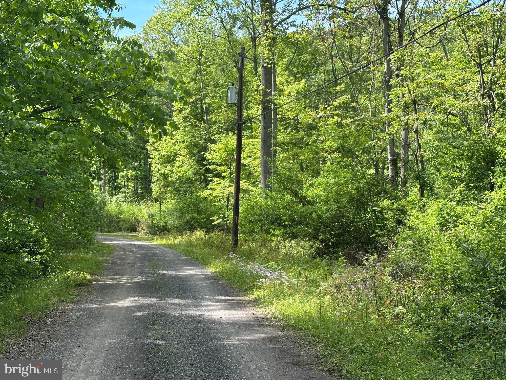 CACAPON HILLS - Land