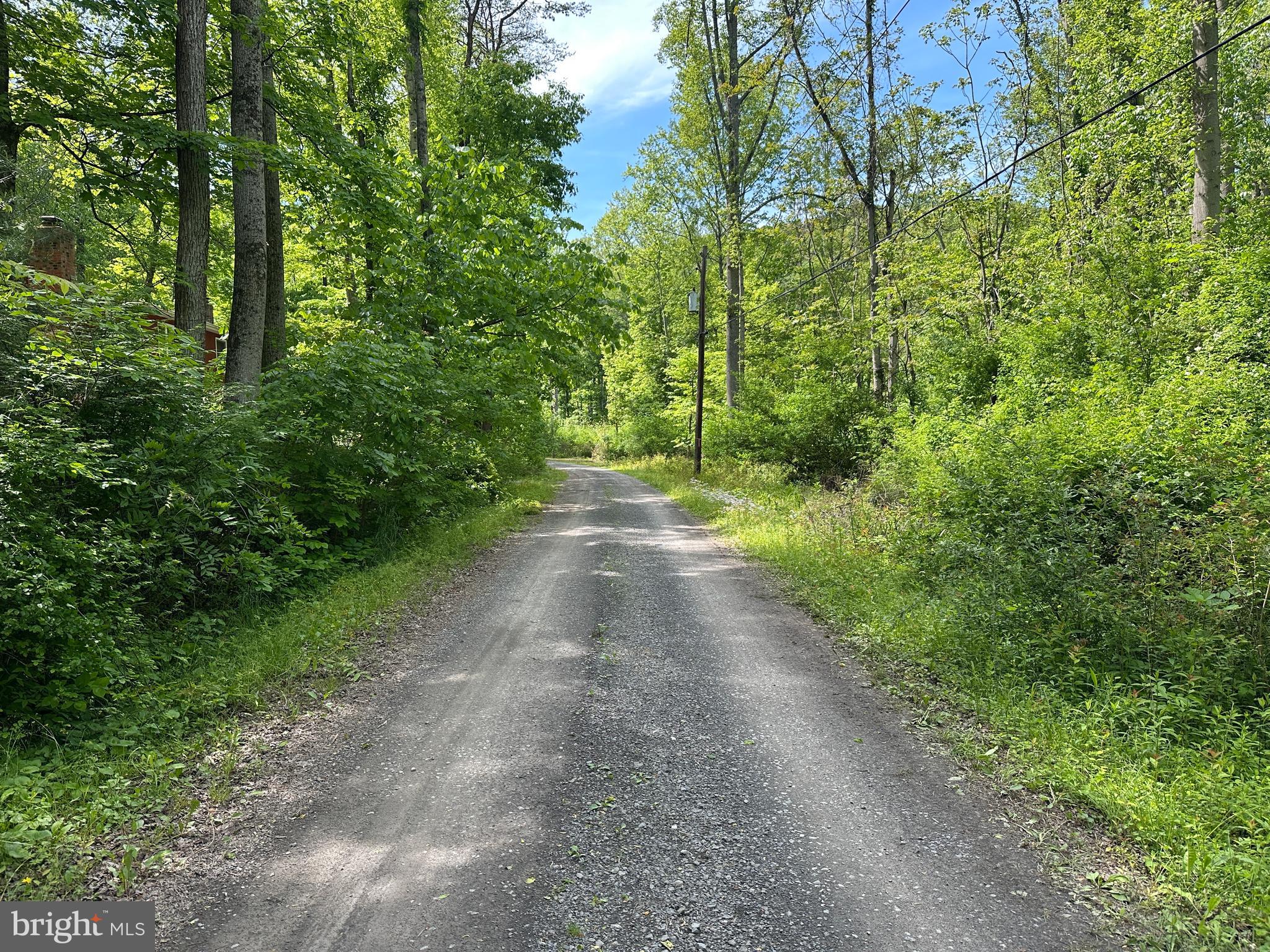 CACAPON HILLS - Land
