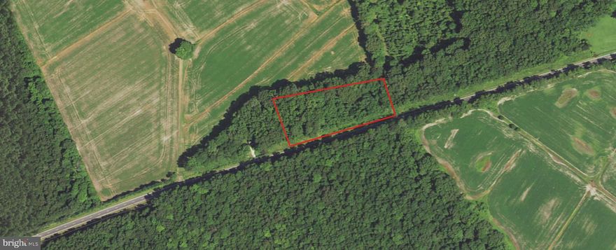 Back on the market due to no fault of the sellers or property. 3 acre parcel, partially cleared,  with existing homesite. Just minutes to downtown Berlin (3 miles) and just 13 miles to Ocean City, this location is the best of both worlds. Very few homes surround this lot, so if you're looking for privacy or to start a farmette, here it is!