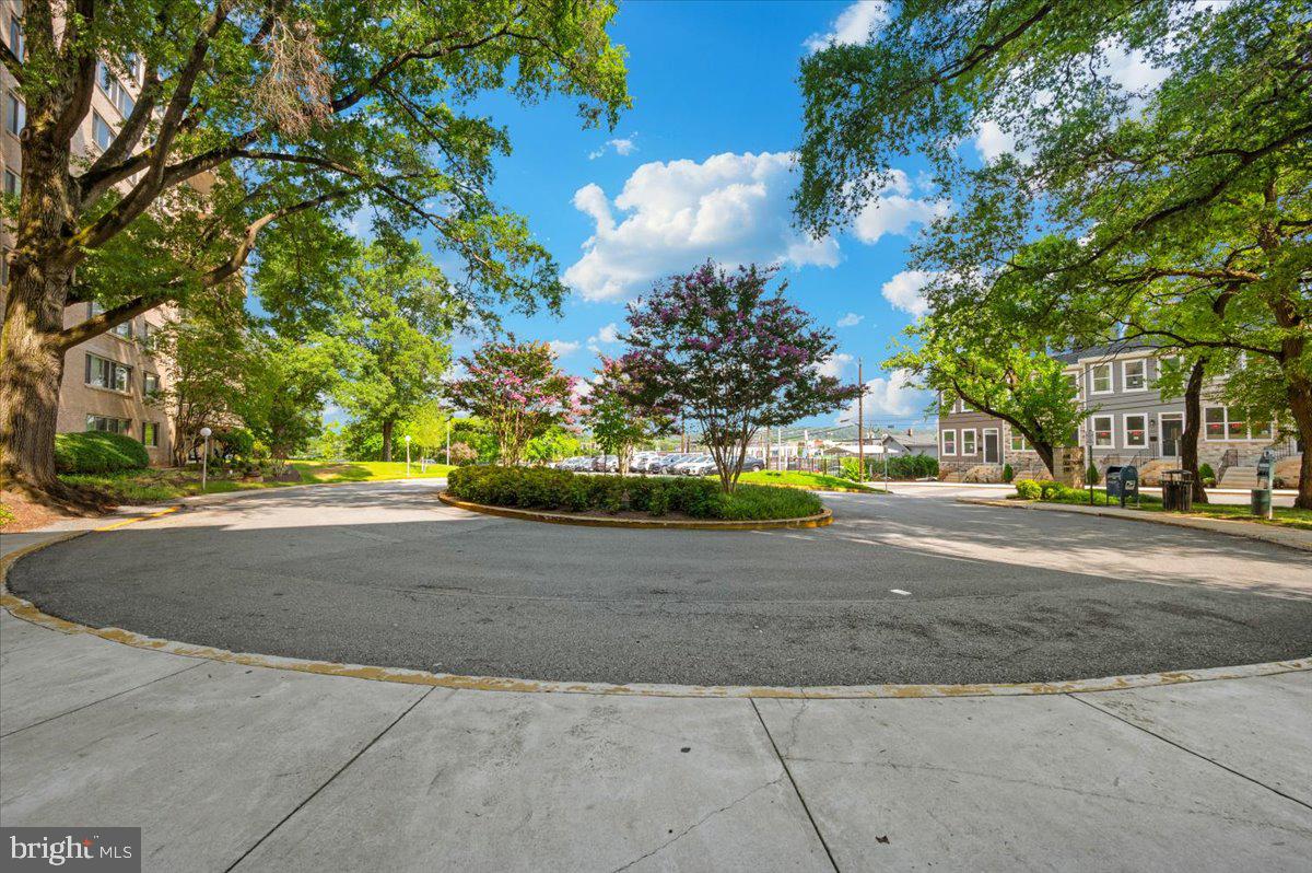 THE OGLETHORPE - Residential Lease