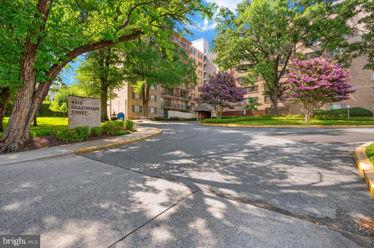 THE OGLETHORPE - Residential Lease