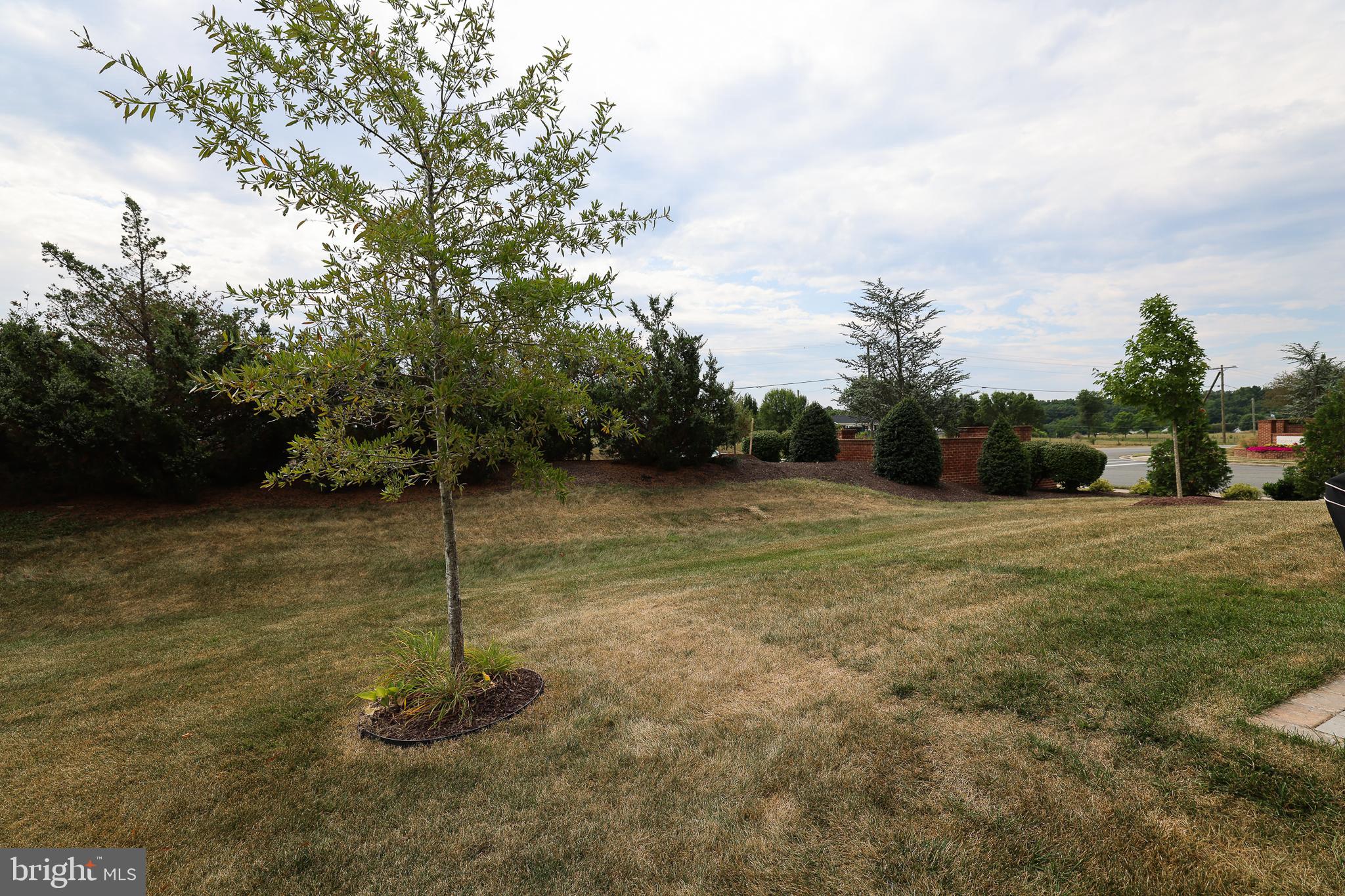 CEDAR MEADOWS - Residential