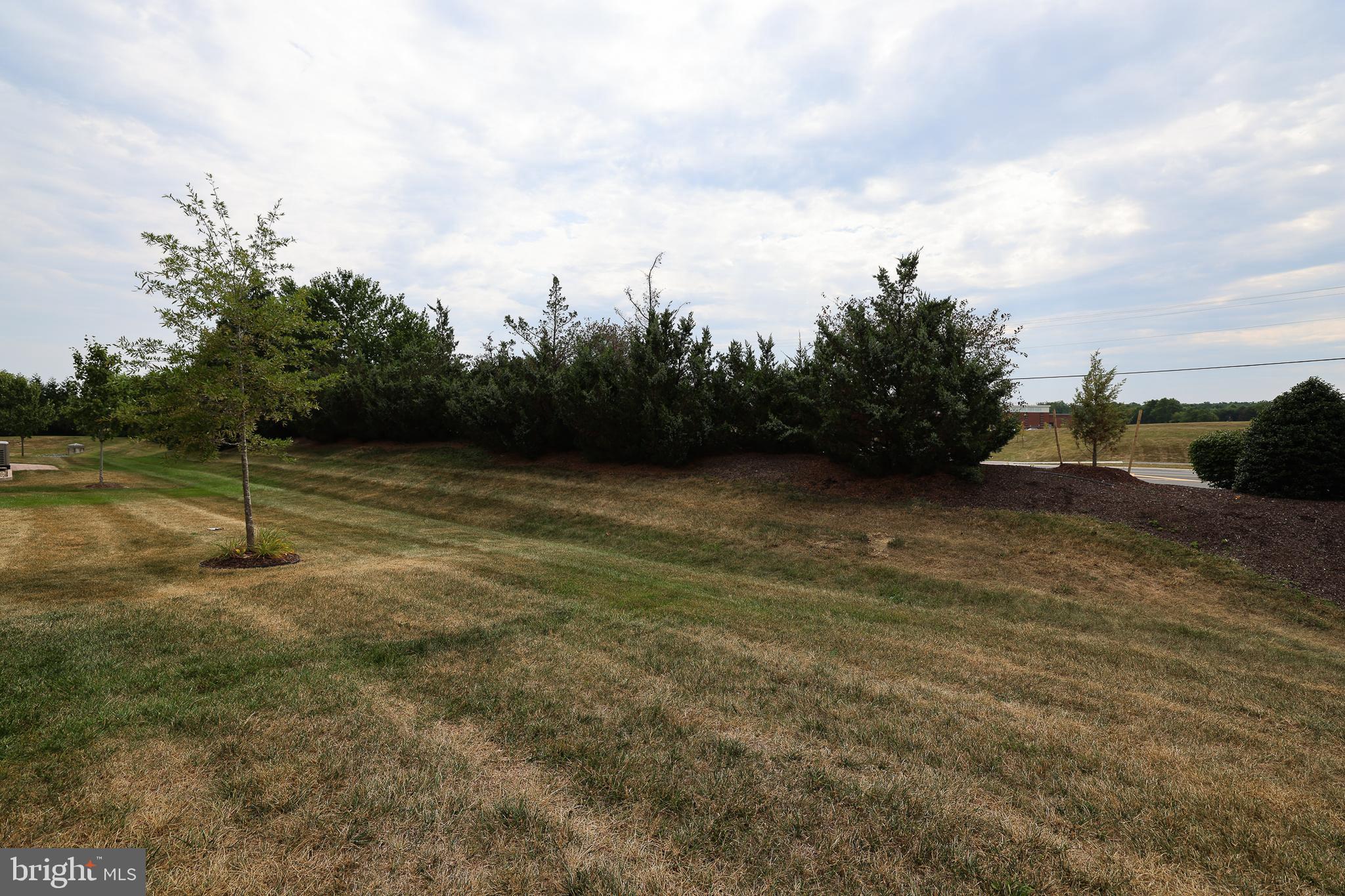 CEDAR MEADOWS - Residential