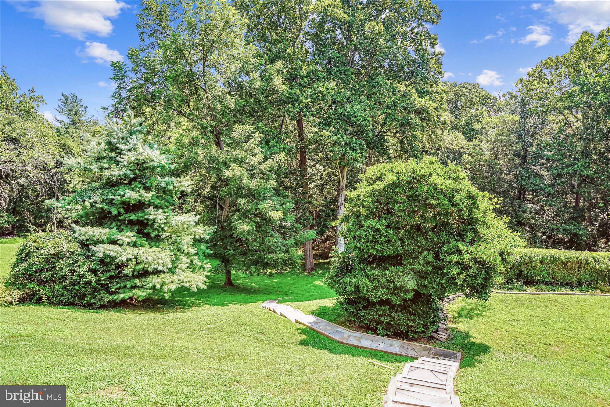 ANCIENT OAK - Residential