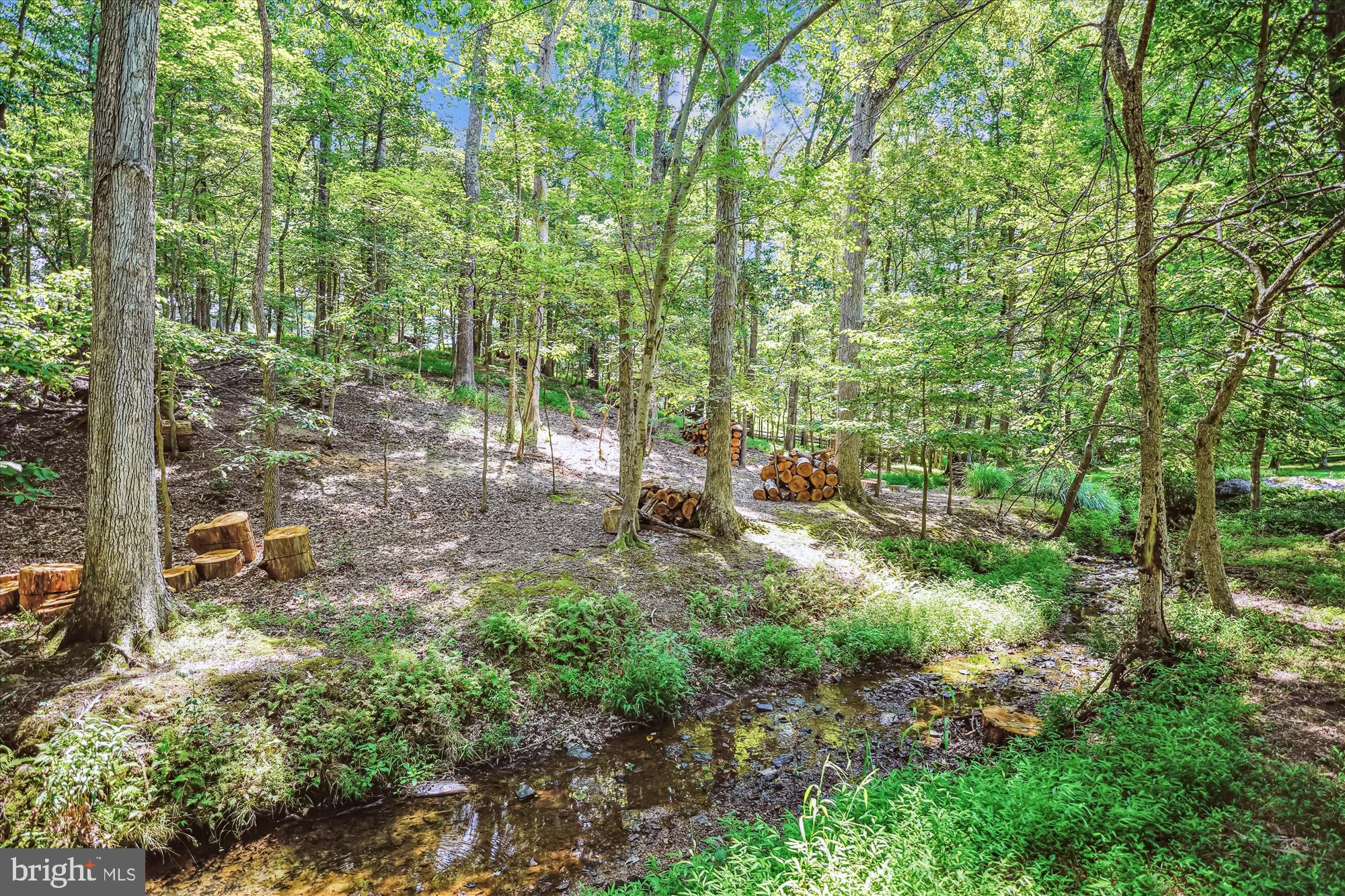 ANCIENT OAK - Residential