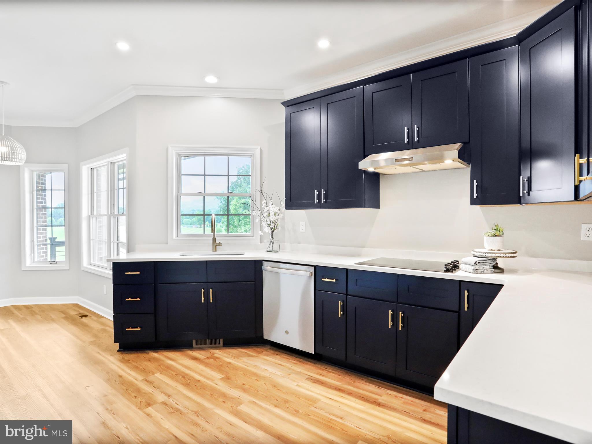 WILLOW BROOK - Residential