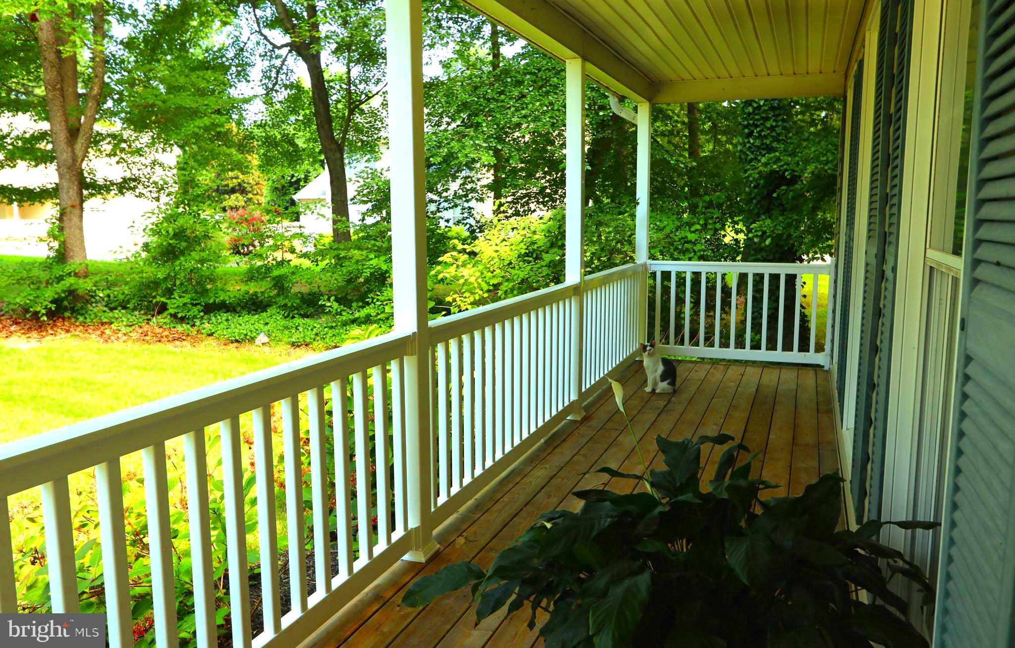 10 GENEVIEVE COURT