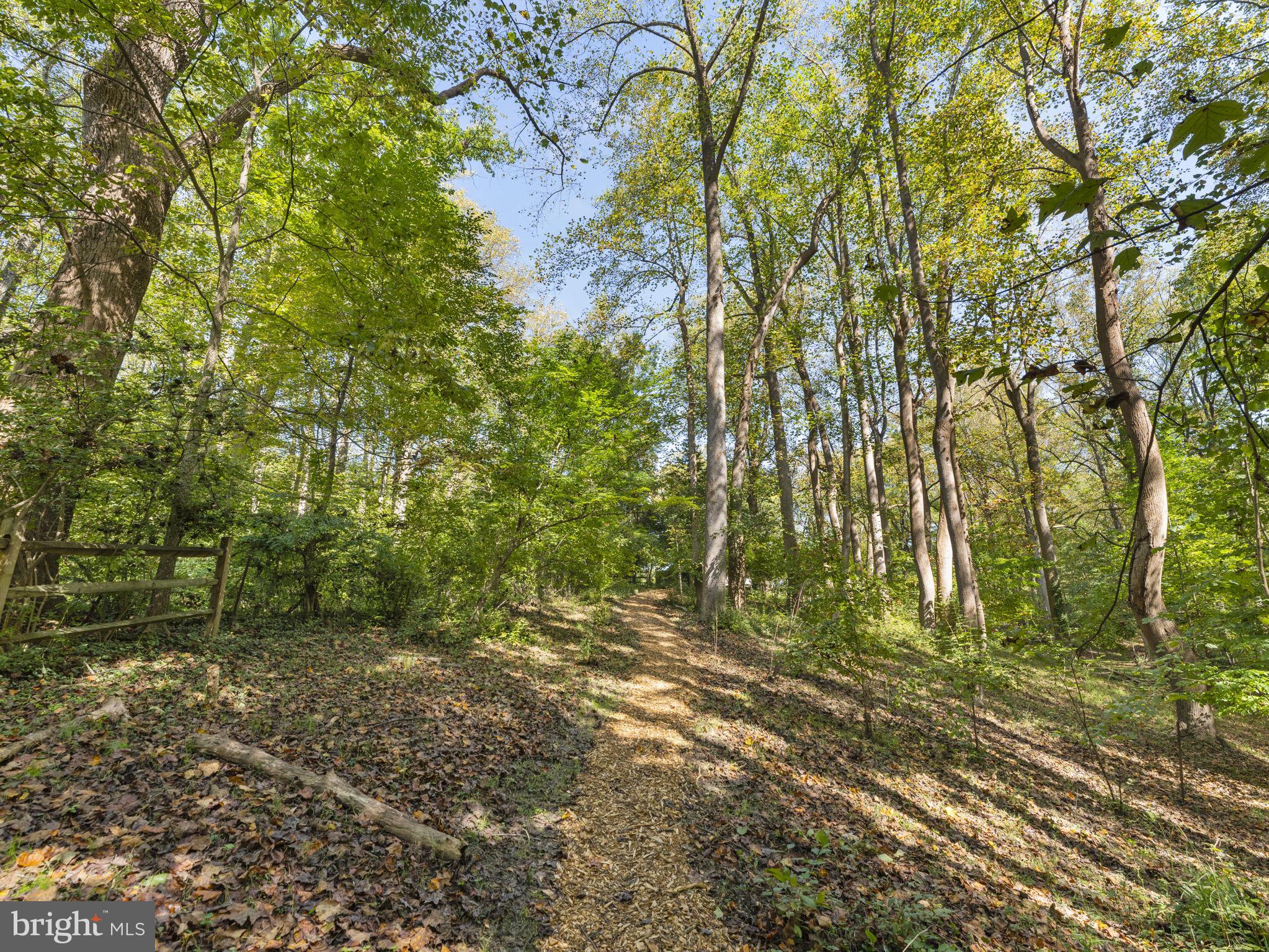 POTOMAC OUTSIDE - Residential