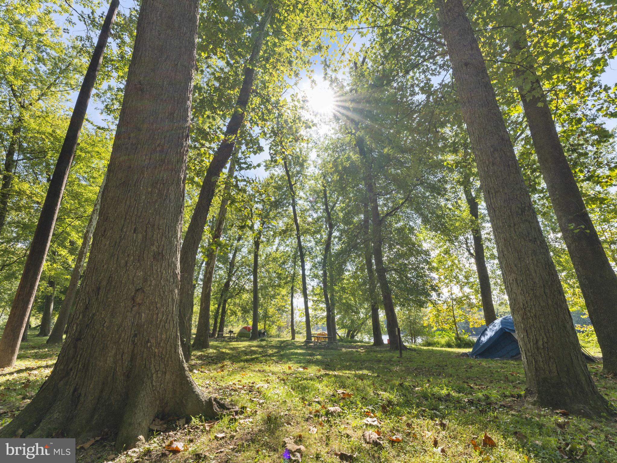POTOMAC OUTSIDE - Residential