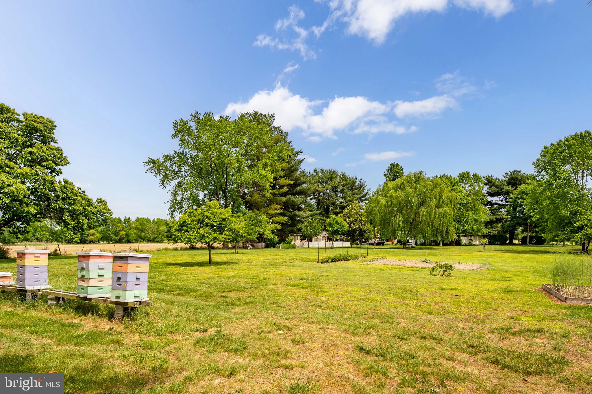PIONEER POINT - Residential