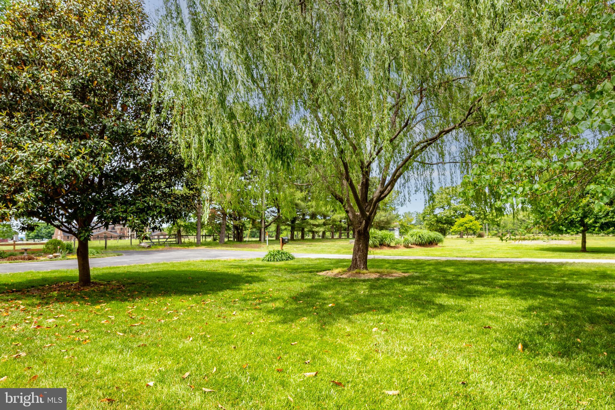 PIONEER POINT - Residential