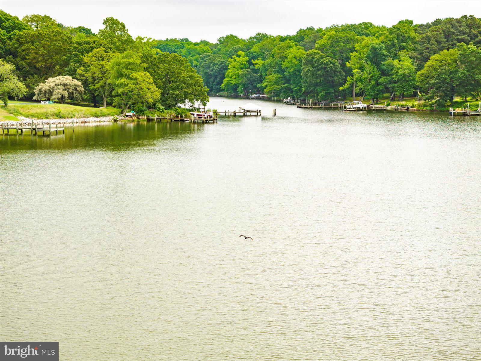 PIONEER POINT - Residential