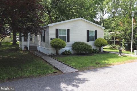 37559 SHADE TREE LANE 54855 SELBYVILLE DE 19975