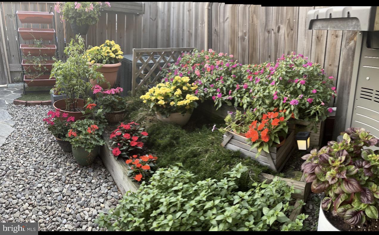 LOCUST POINT - Residential