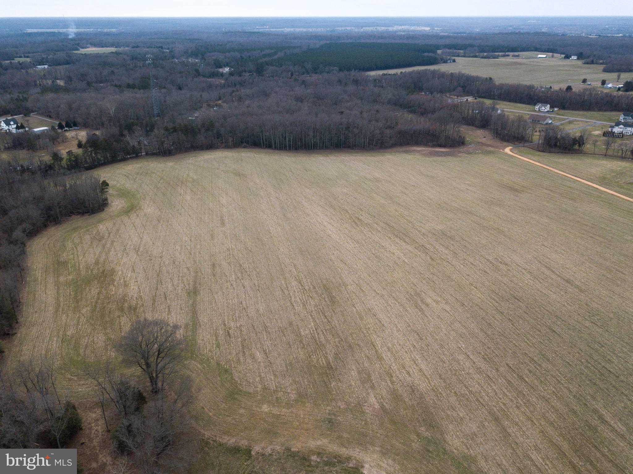 BRIDLE LAKE ESTATES - Farm