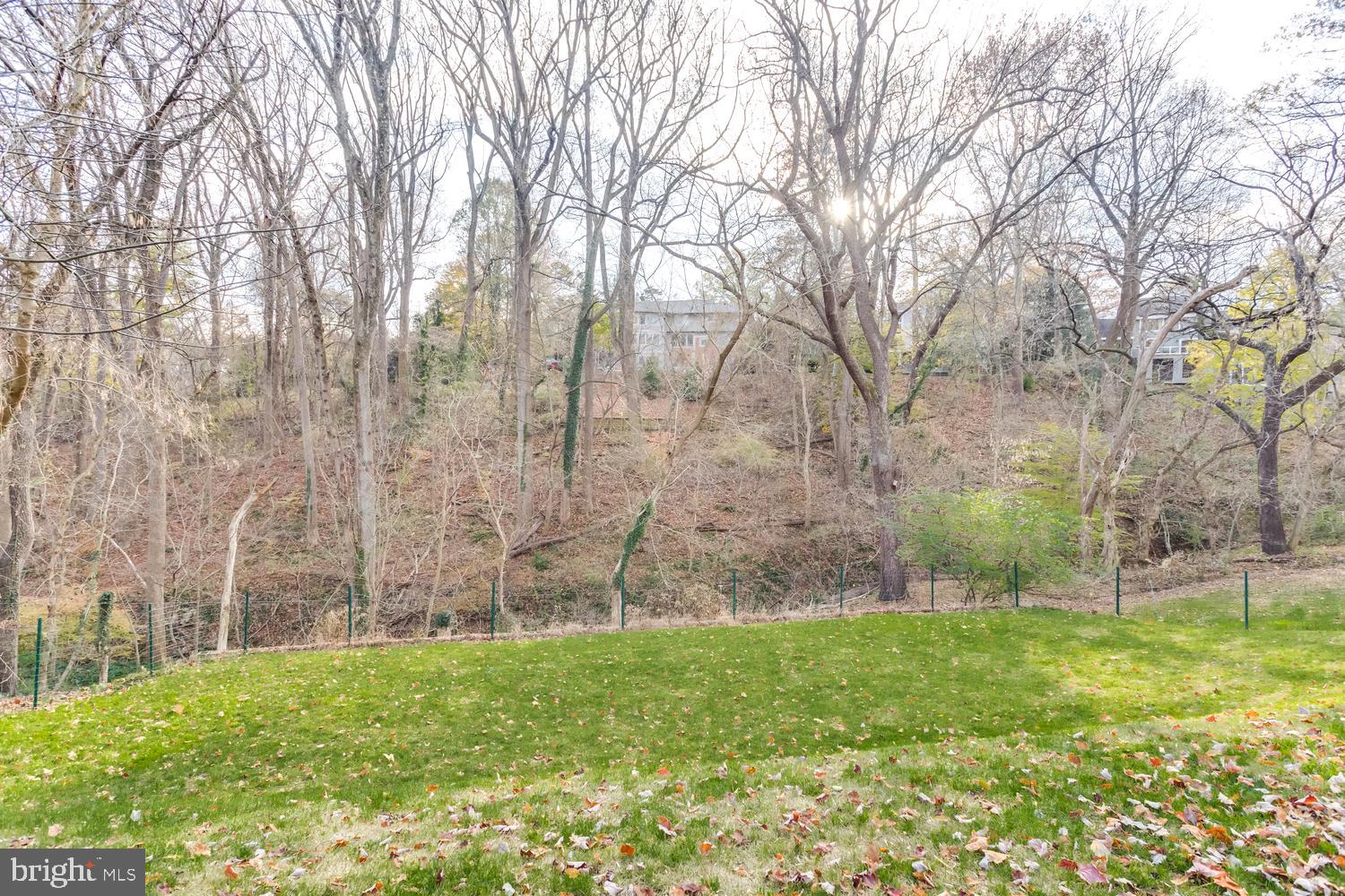 BELLEVUE FOREST - Residential