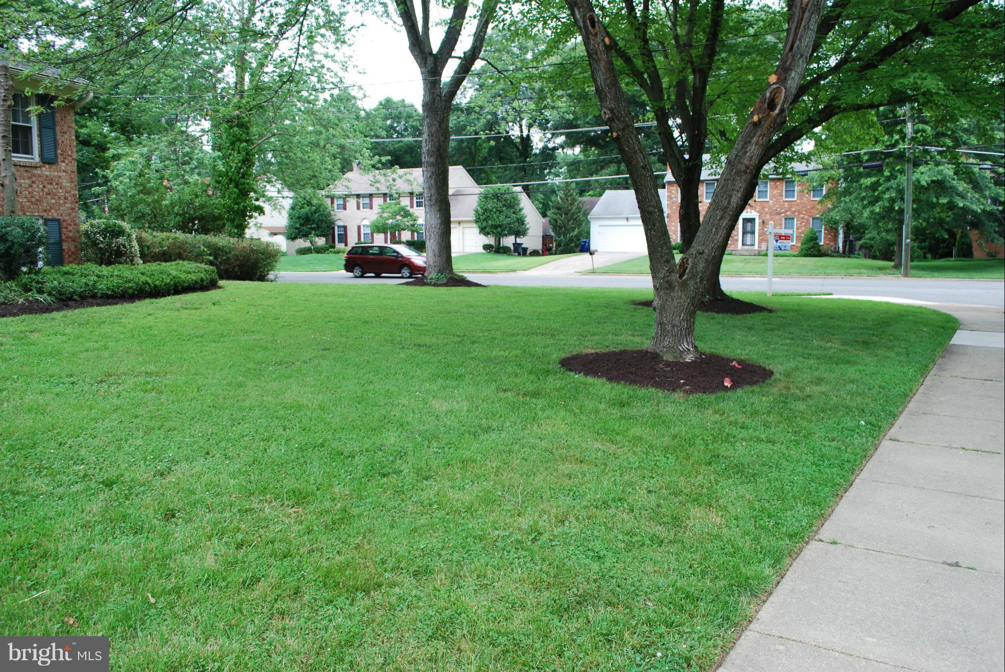 COLLINGWOOD SPRINGS - Residential Lease