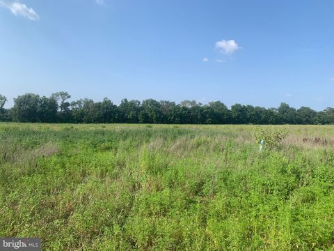 Vacant Land For Sale - Gouldtown Woodruff Road<br/> BRIDGETON, NJ 08302