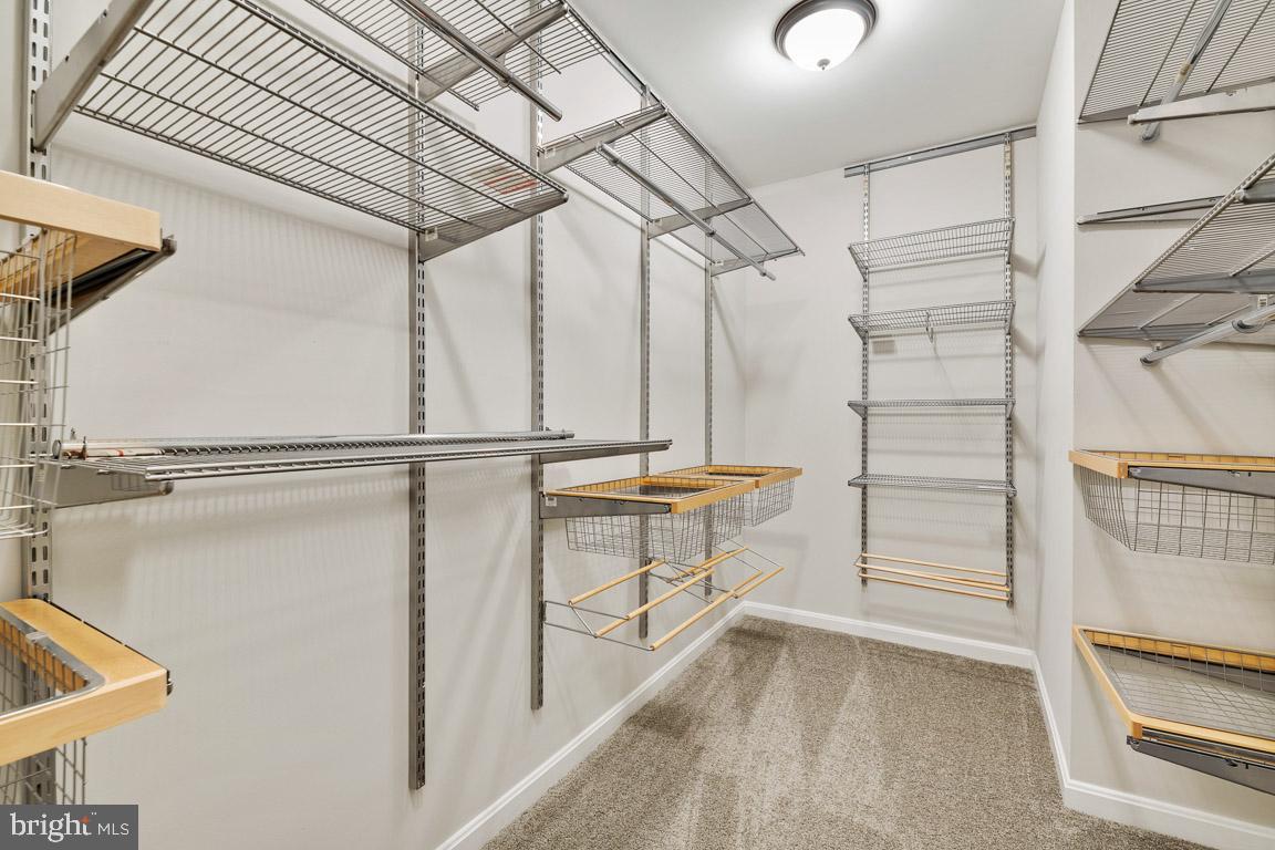 TAYLOR VILLAGE - Residential