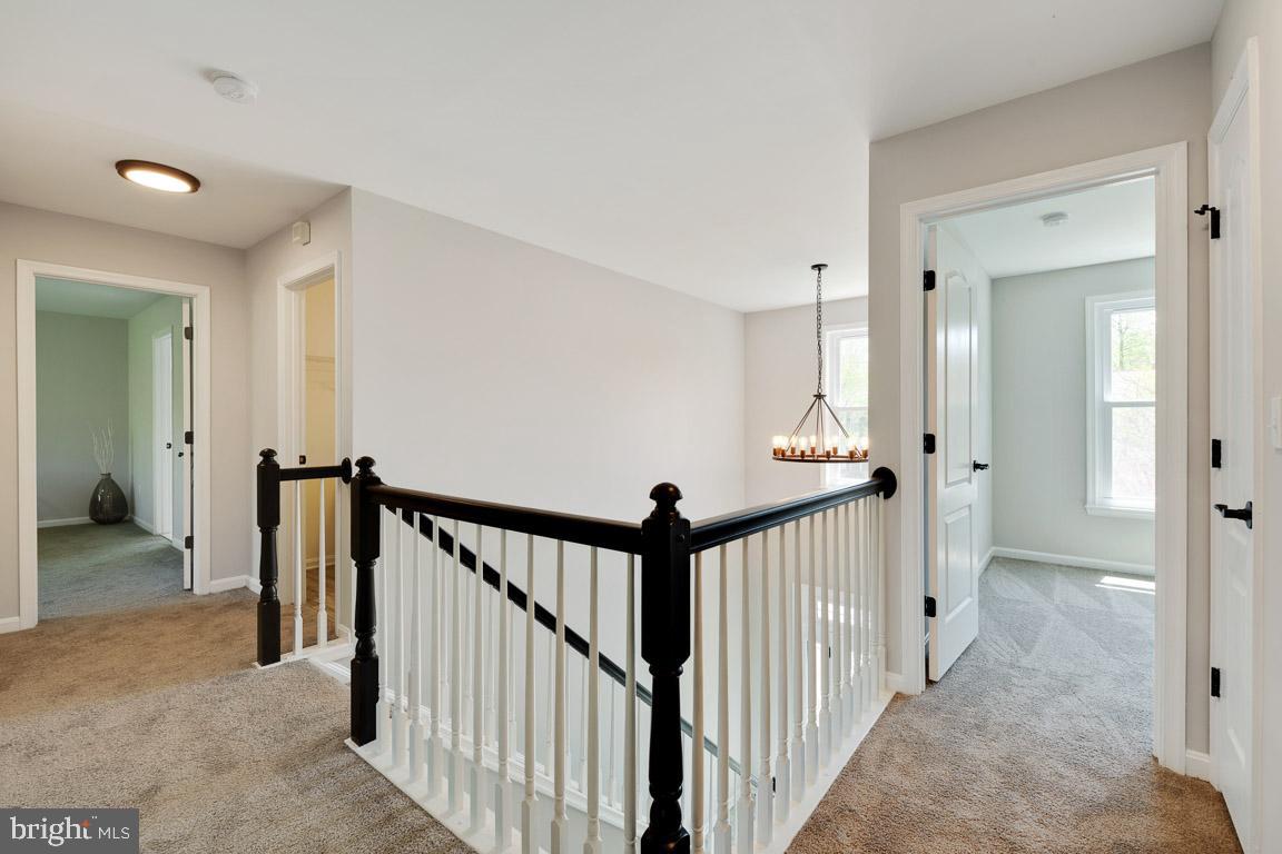 TAYLOR VILLAGE - Residential