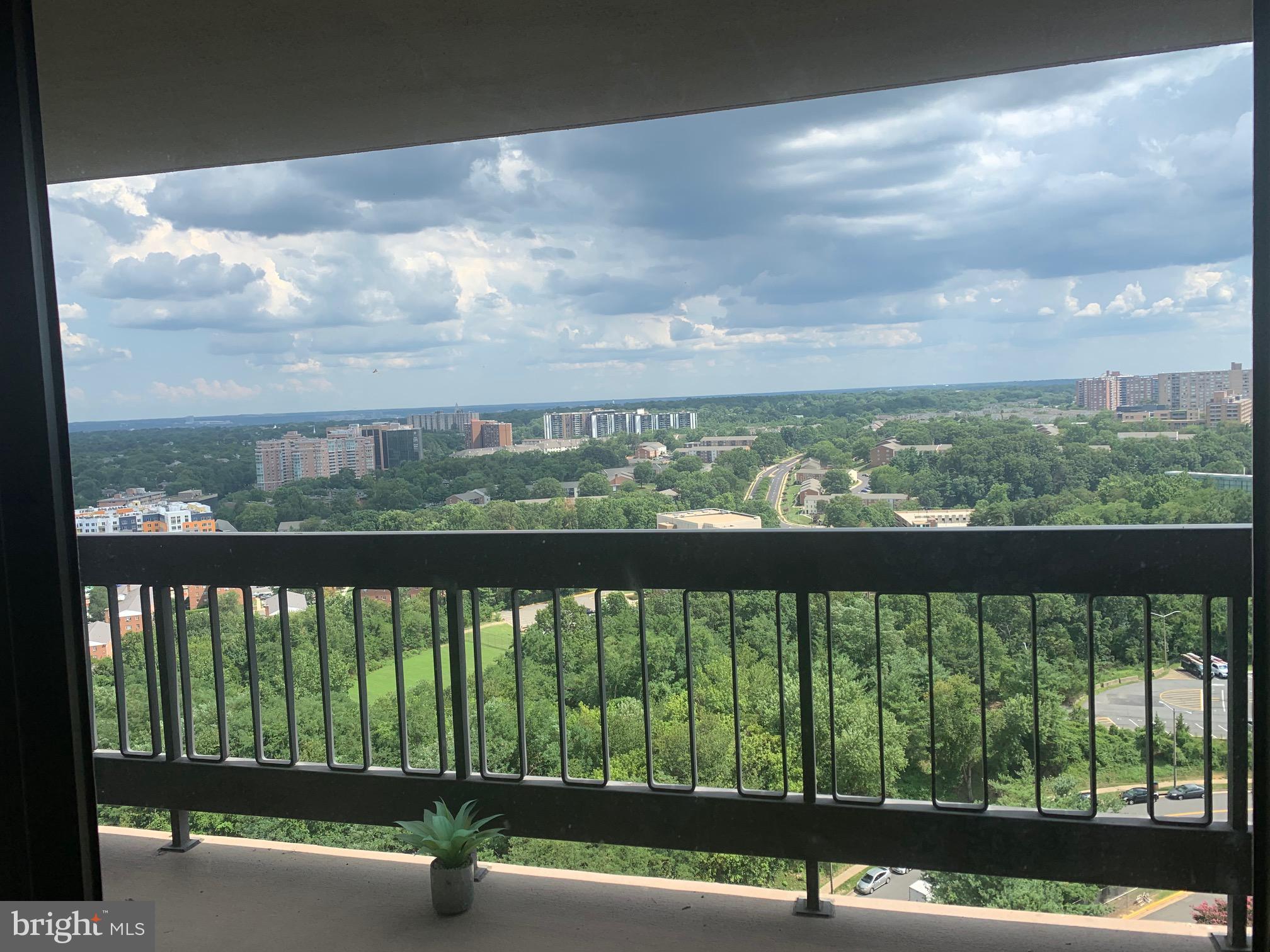 3705 S GEORGE MASON DRIVE 2009S