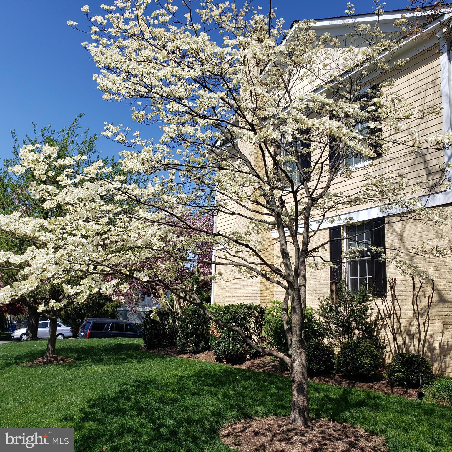 TARA - LEEWAY HEIGHTS - Residential