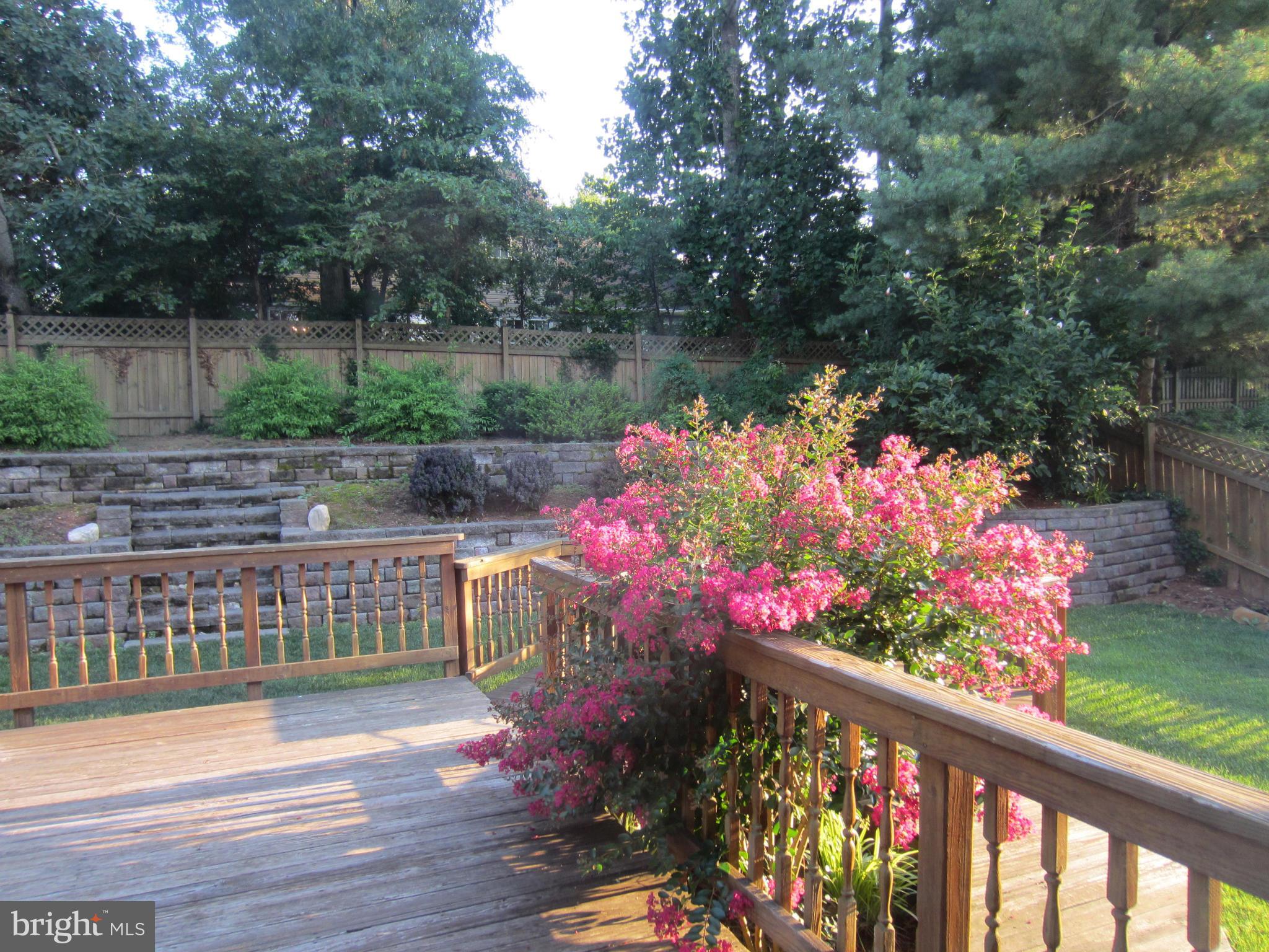 SETTLERS LANDING - Residential Lease