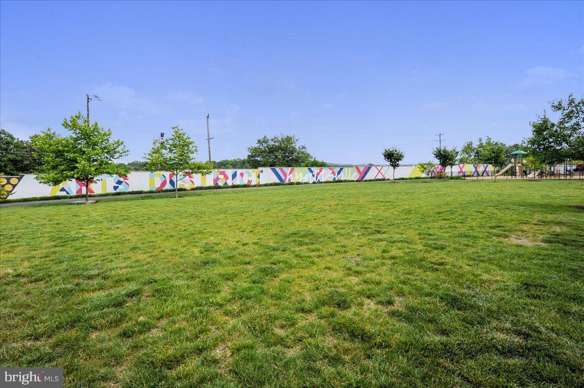 ARTS DISTRICT HYATTSVILLE - Residential