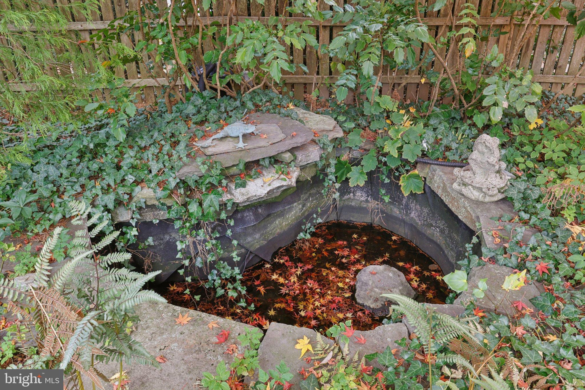 CHESTNUT HILL - Residential