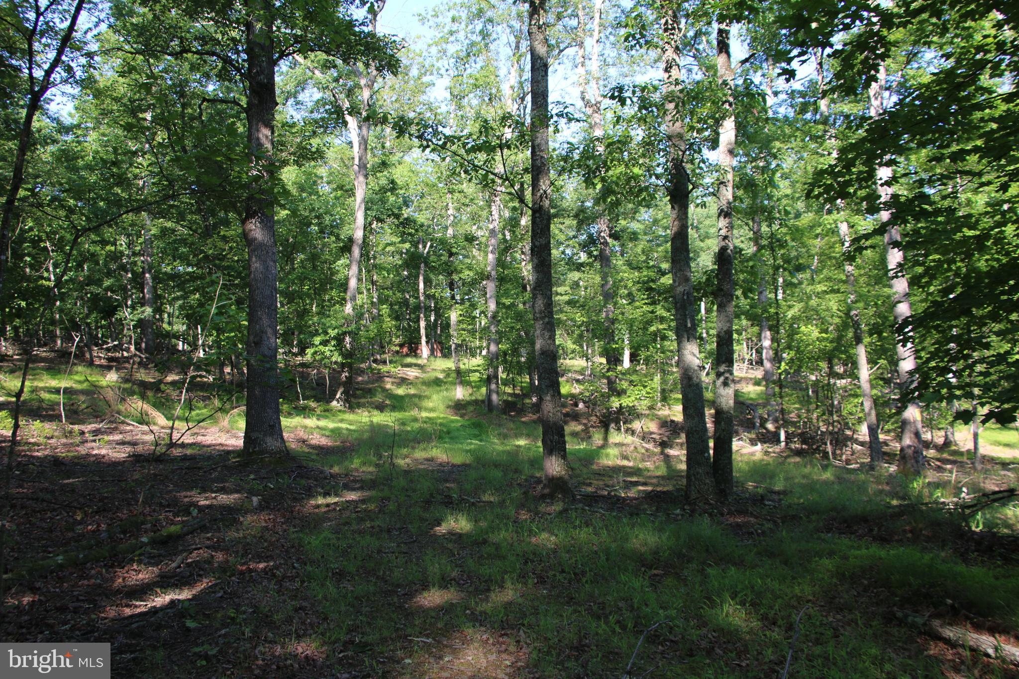 SILER HEIGHTS - Land