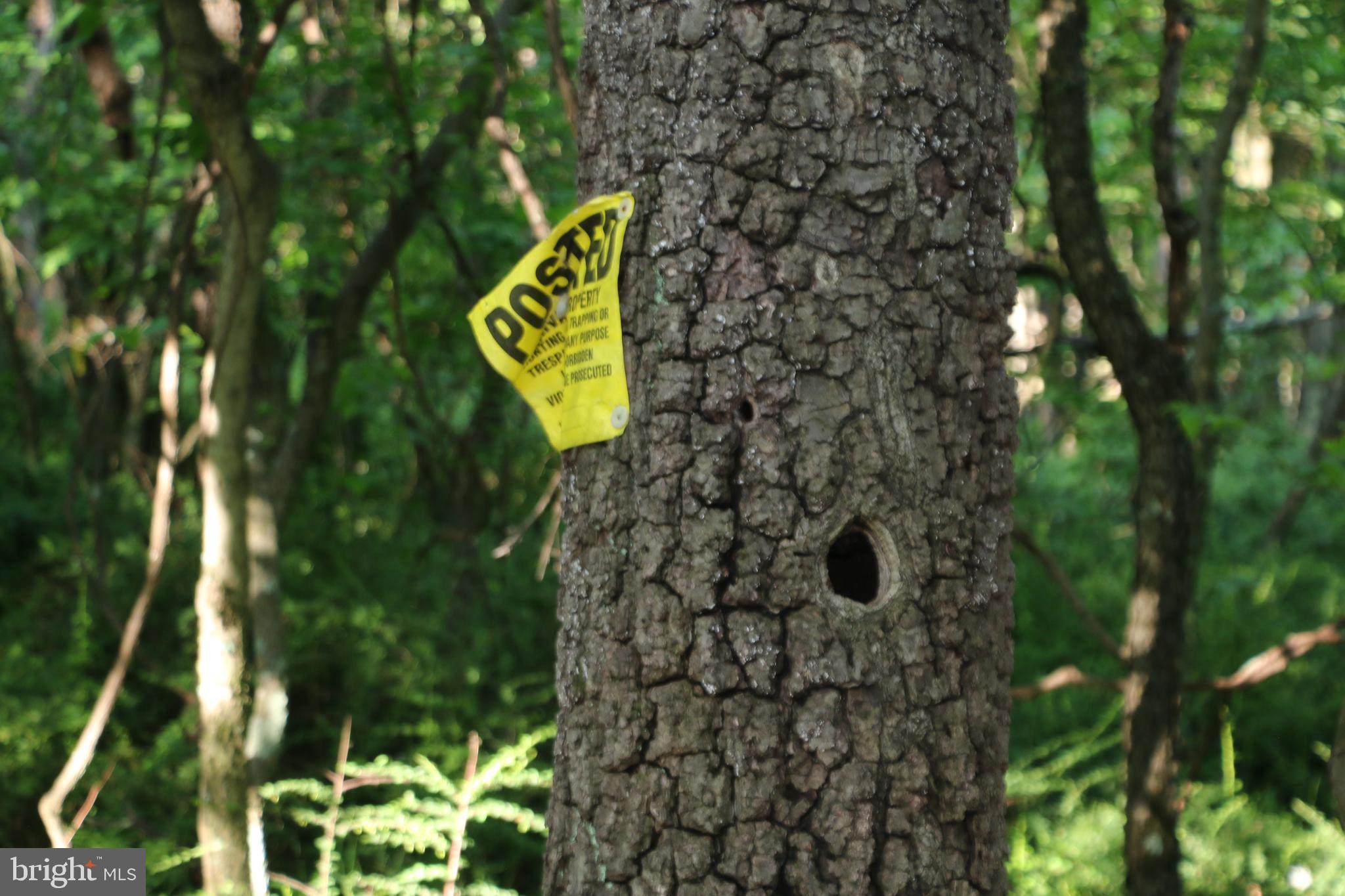 SILER HEIGHTS - Land