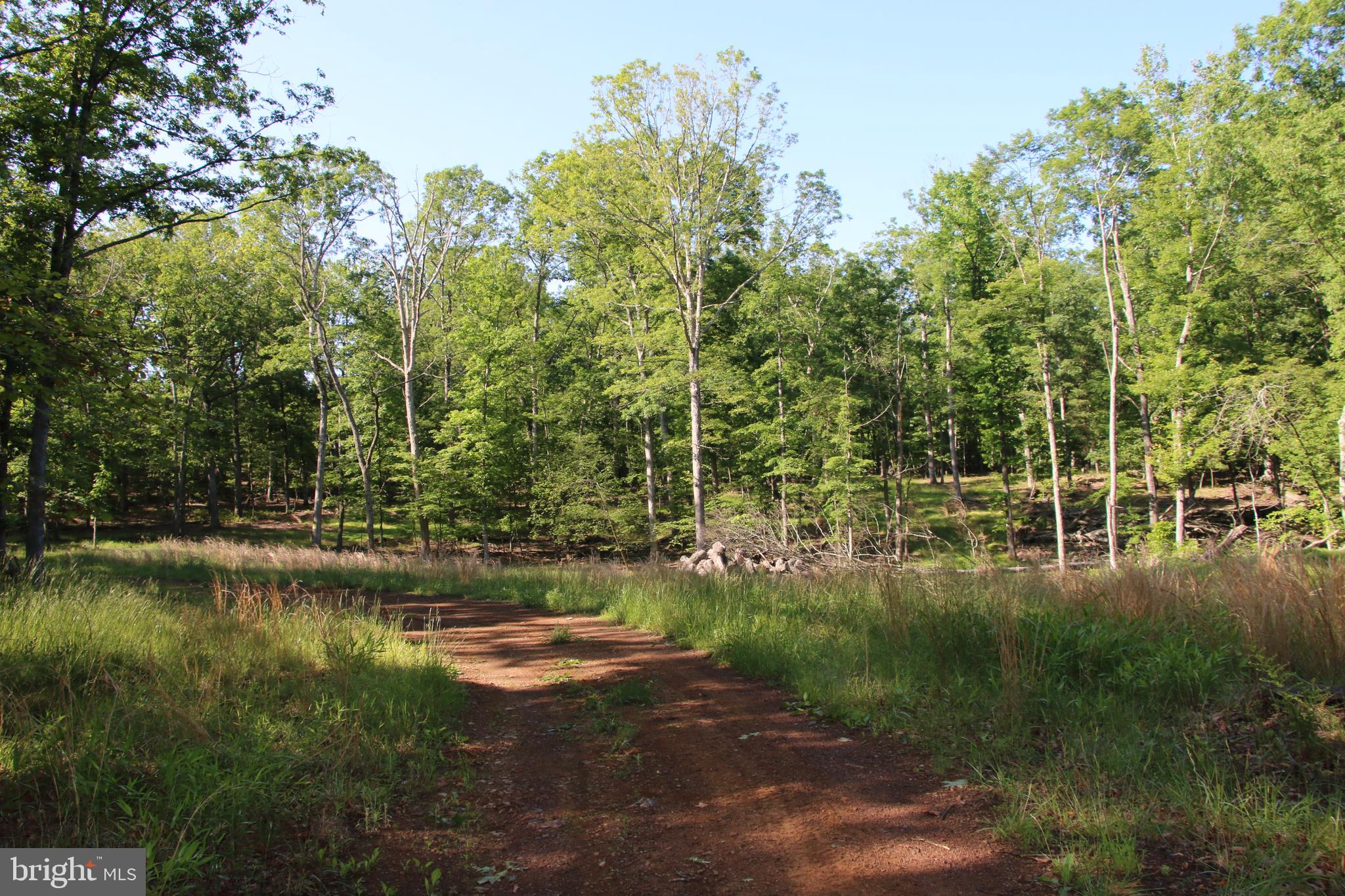 SILER HEIGHTS - Land