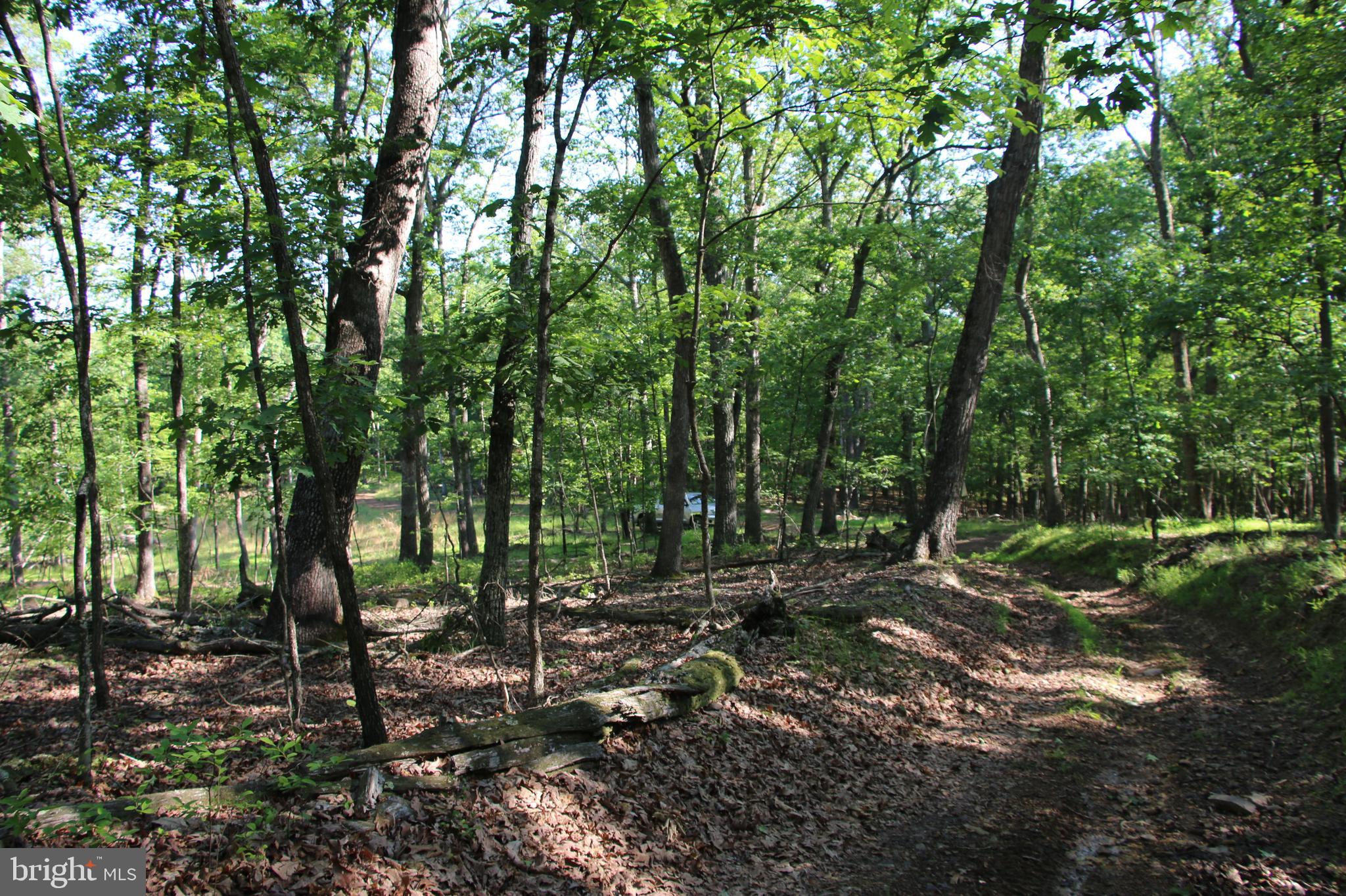 SILER HEIGHTS - Land