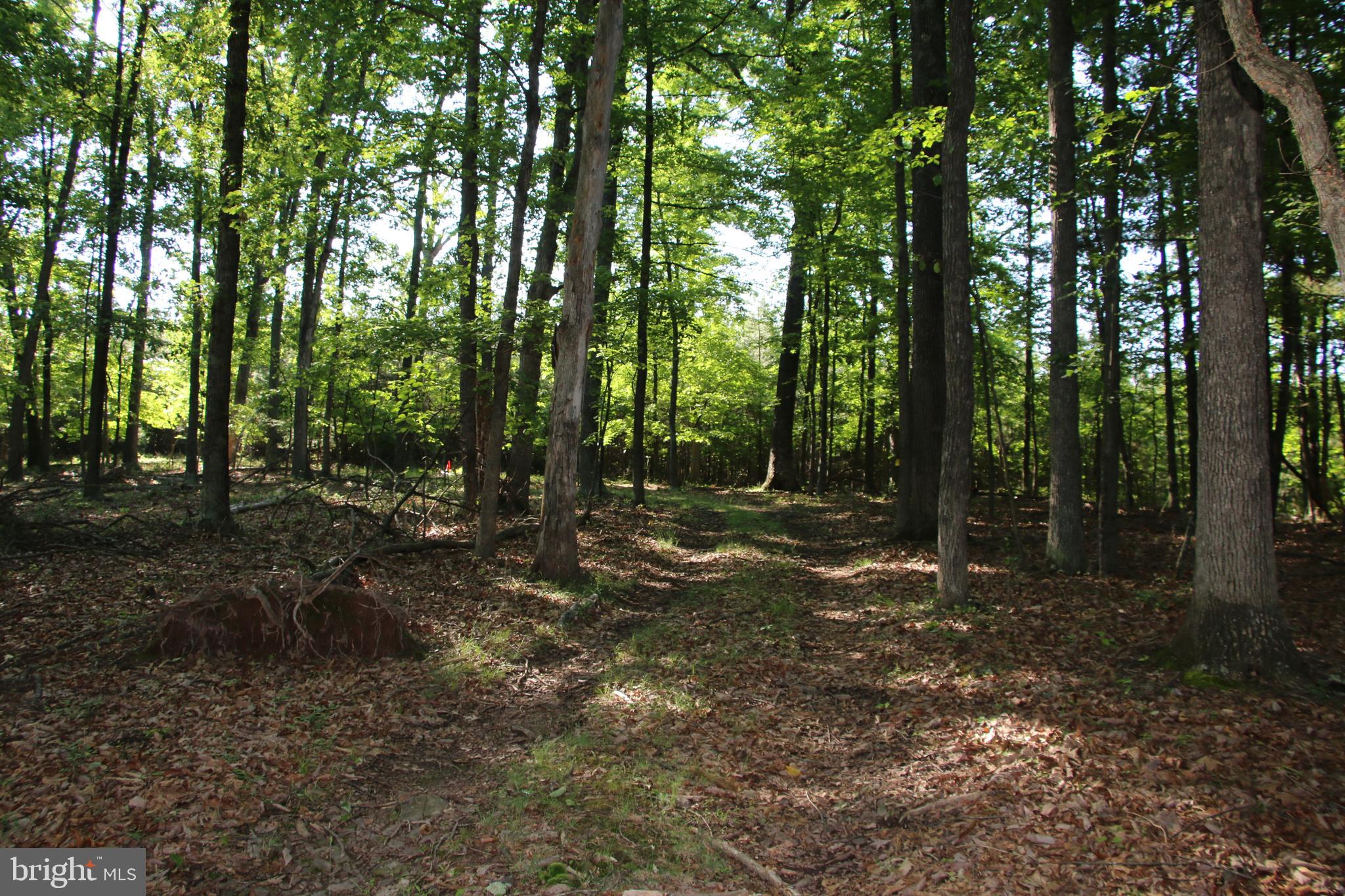 SILER HEIGHTS - Land