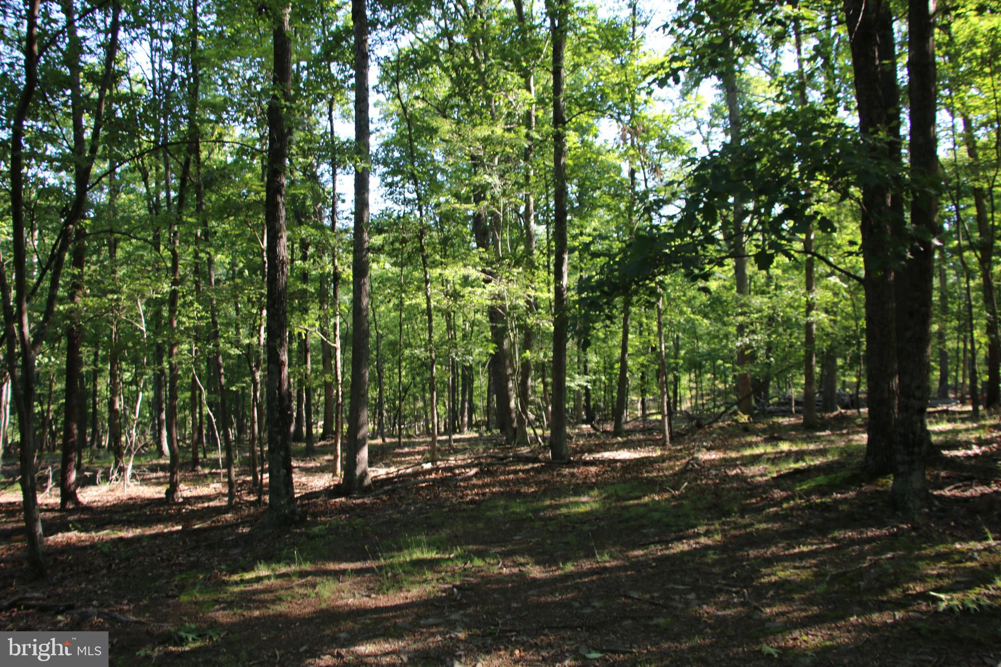 SILER HEIGHTS - Land