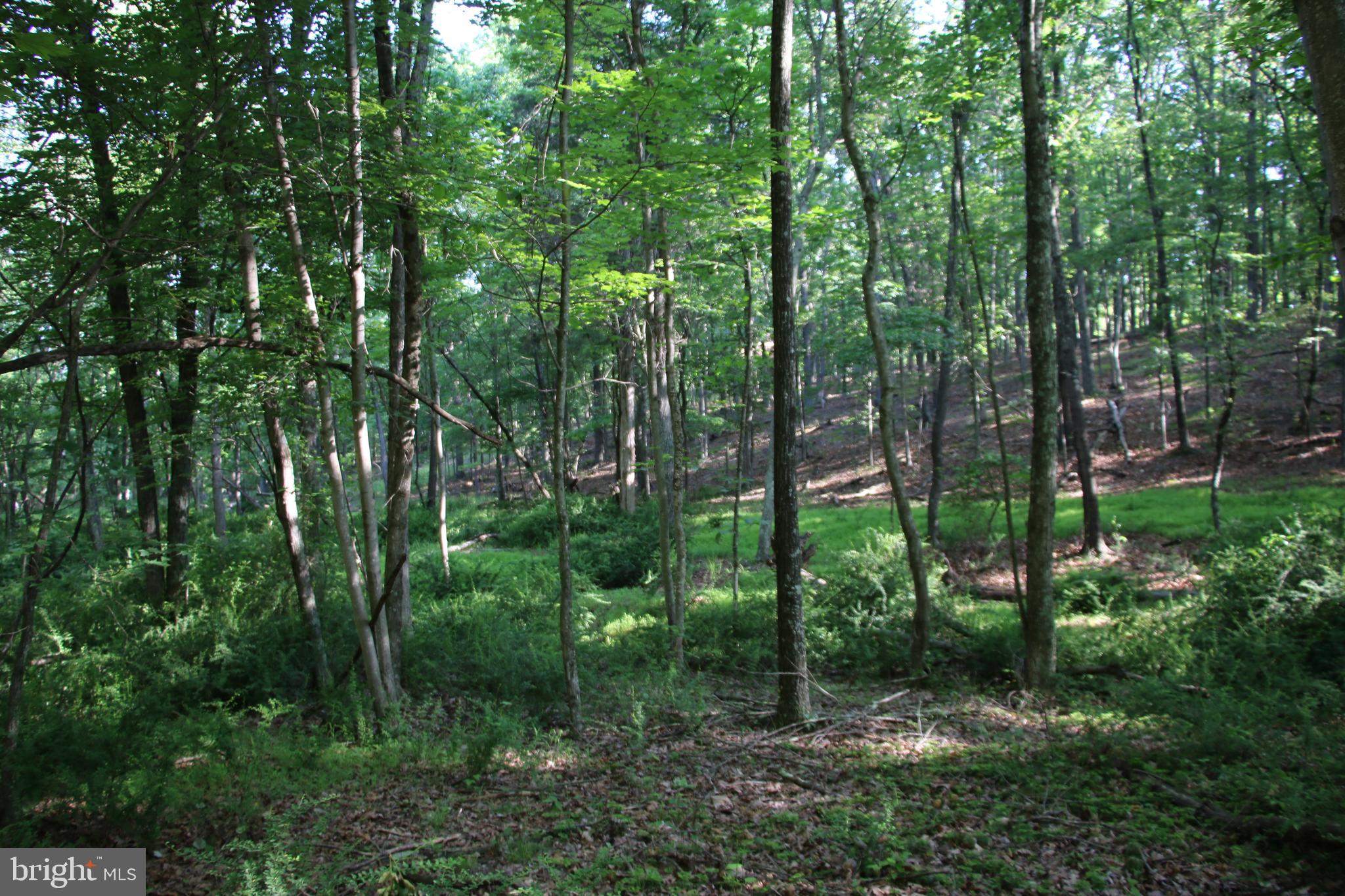 SILER HEIGHTS - Land