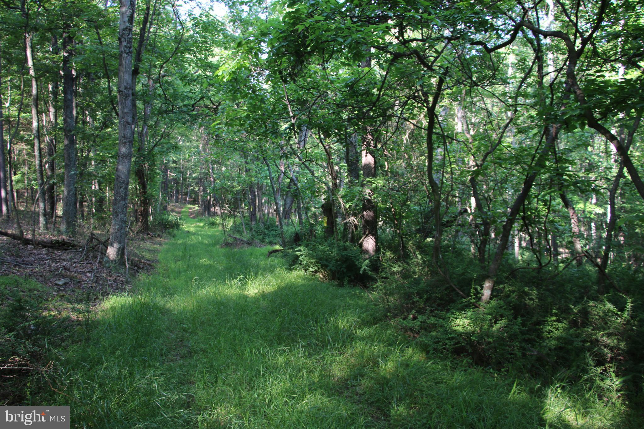 SILER HEIGHTS - Land