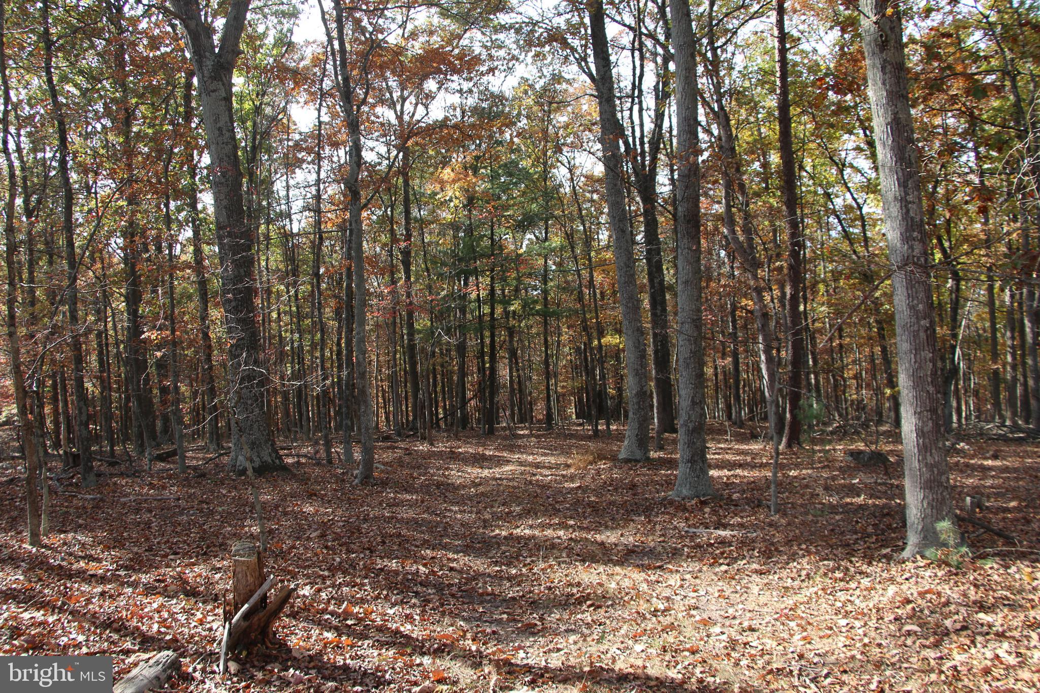 SILER HEIGHTS - Land