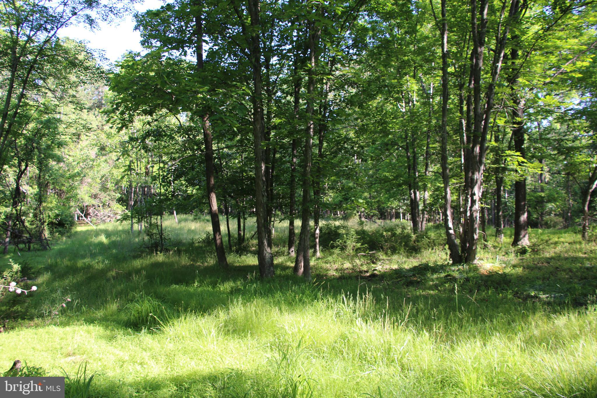 SILER HEIGHTS - Land