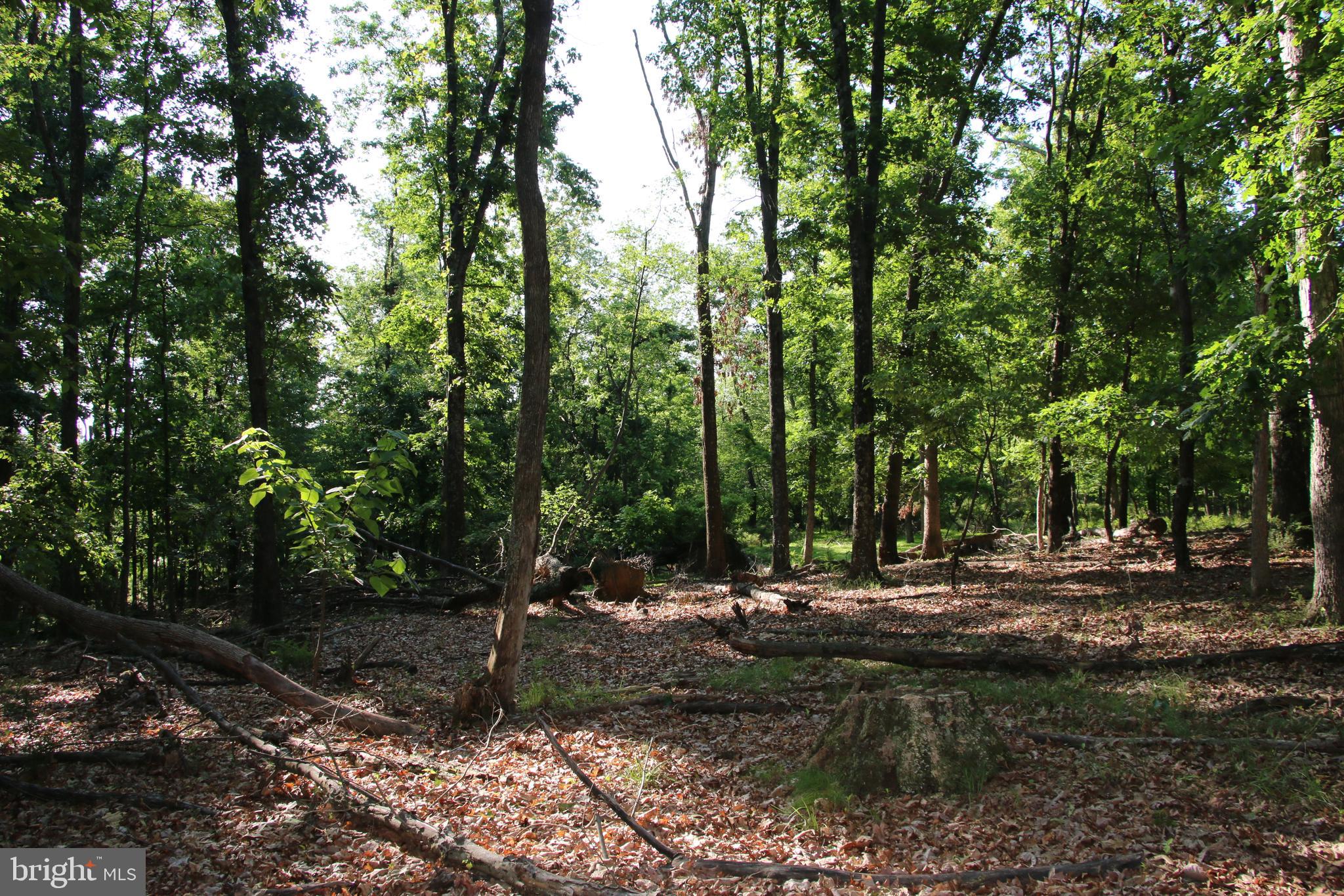 SILER HEIGHTS - Land