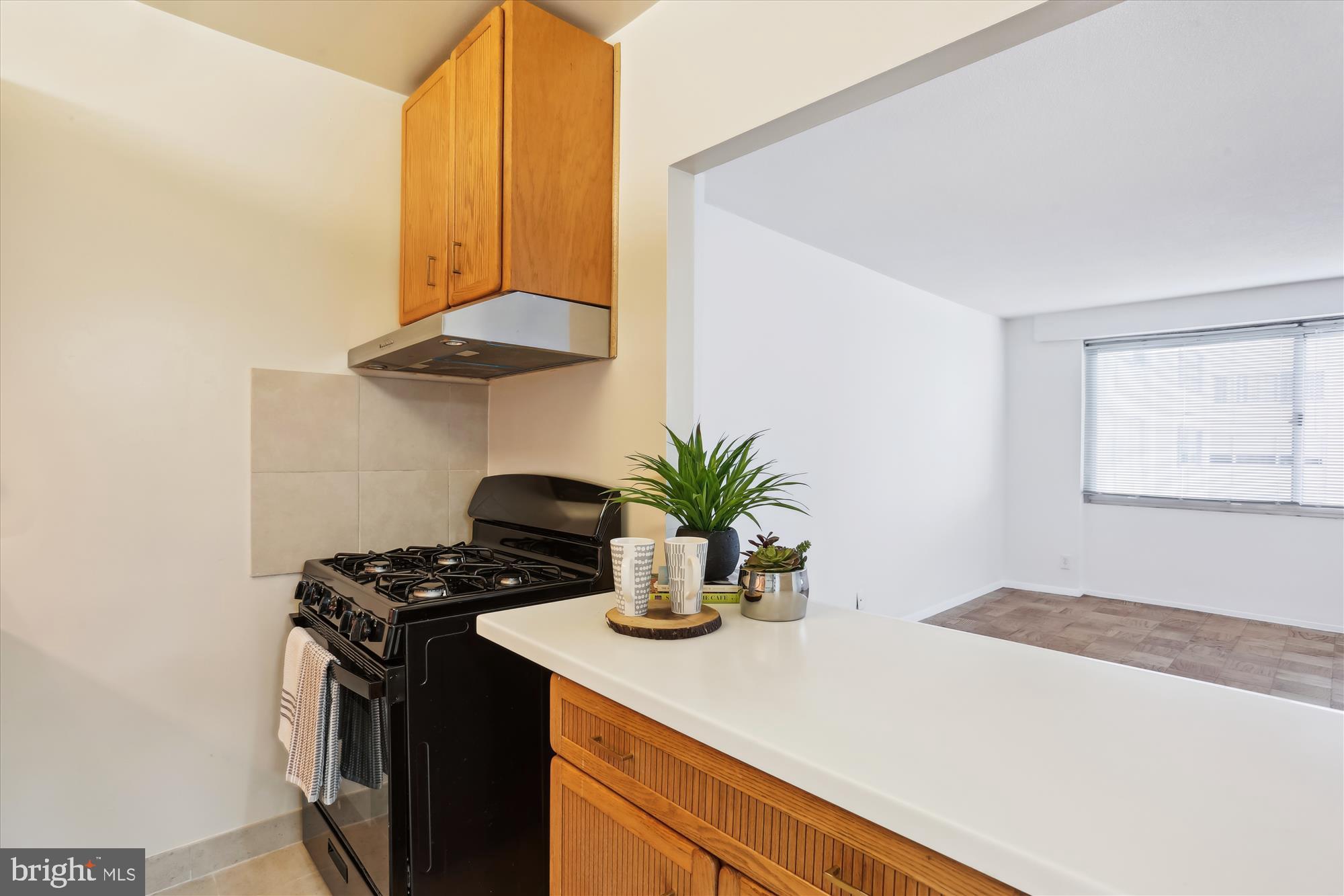 WILLOUGHBY OF CHEVY CHASE - Residential