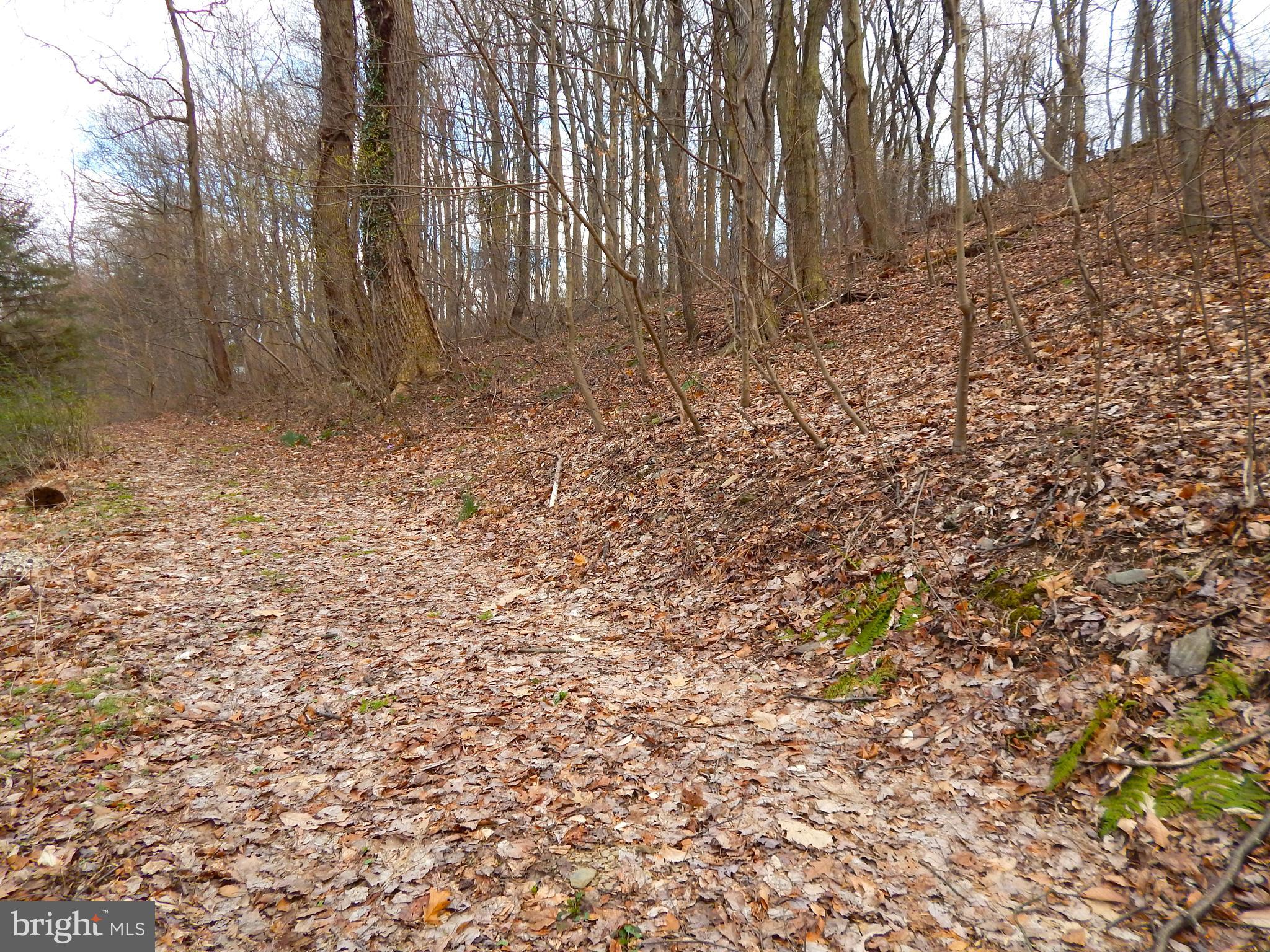 CRALEY - Residential