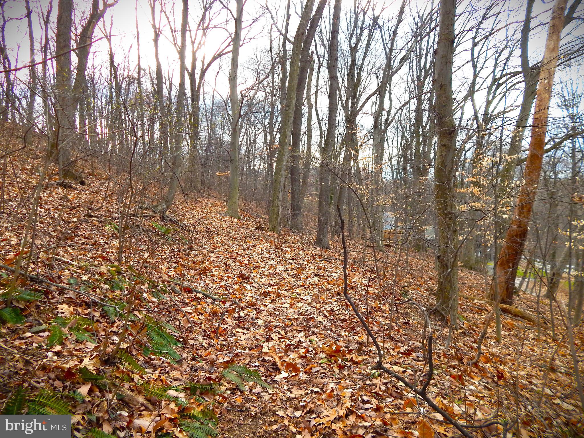 CRALEY - Residential