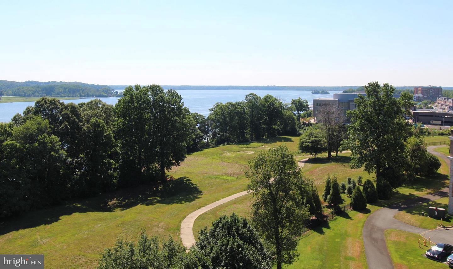 830 BELMONT BAY DRIVE 303