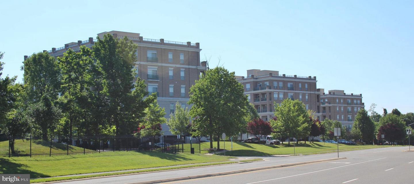 830 BELMONT BAY DRIVE 303