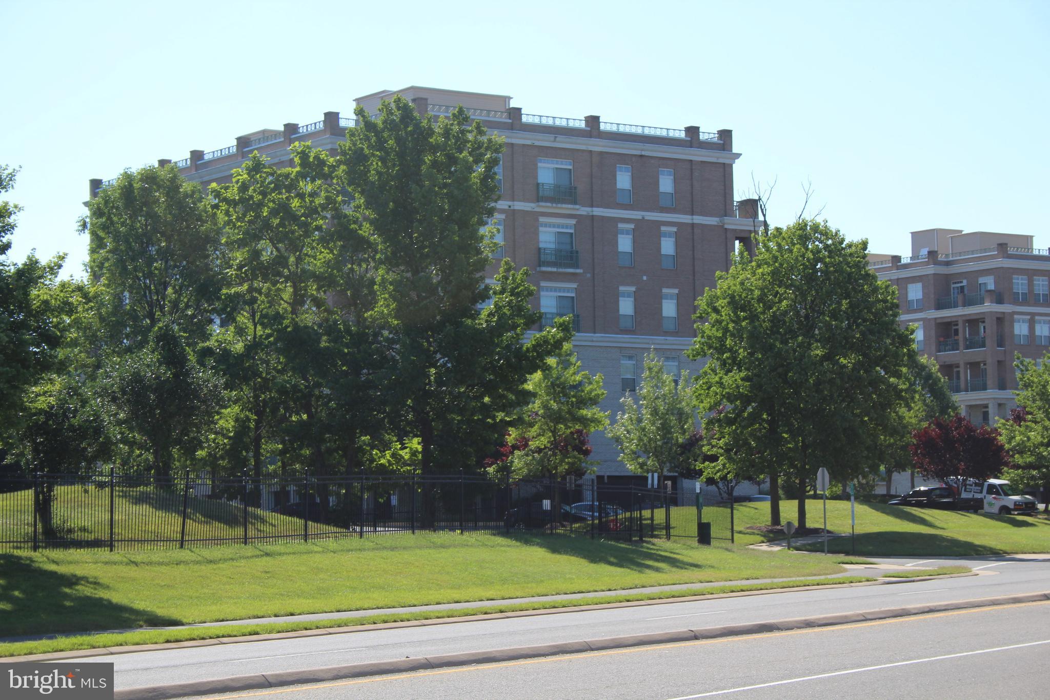 830 BELMONT BAY DRIVE 303