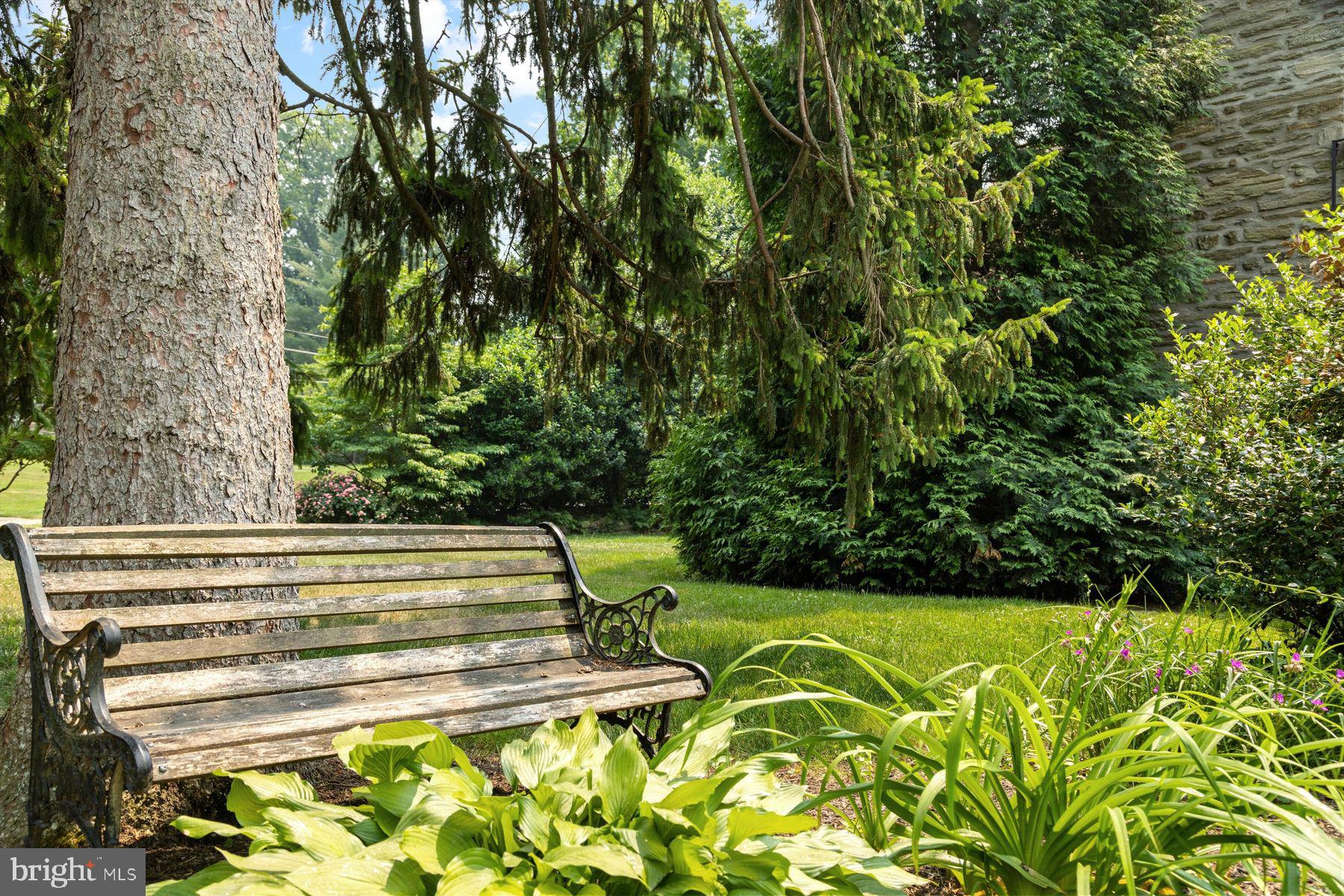 CHESTNUT HILL - Residential